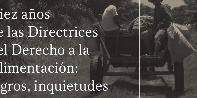 10 años directrices Derecho Alimentación